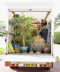 How To Pack Garden Equipment Safely When Moving Home?