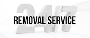 removal-300x129