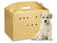 Cardboard Pet Carrier