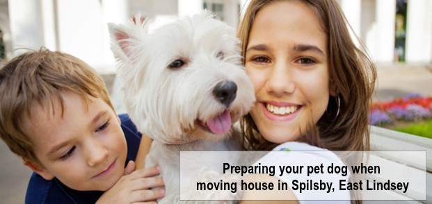 Preparing your pet dog when moving house in Spilsby, East Lindsey