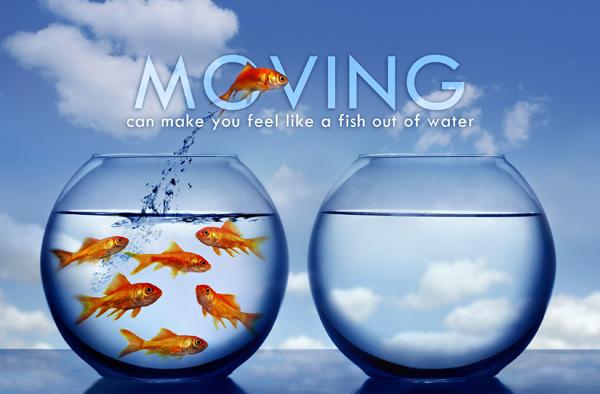 Moving_Fish