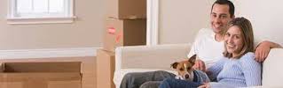 Preparing your pets when moving home in Warsop, Nottinghamshire