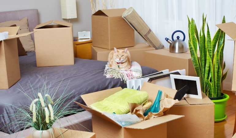 Domestic House Removals Southwell Nottinghamshire