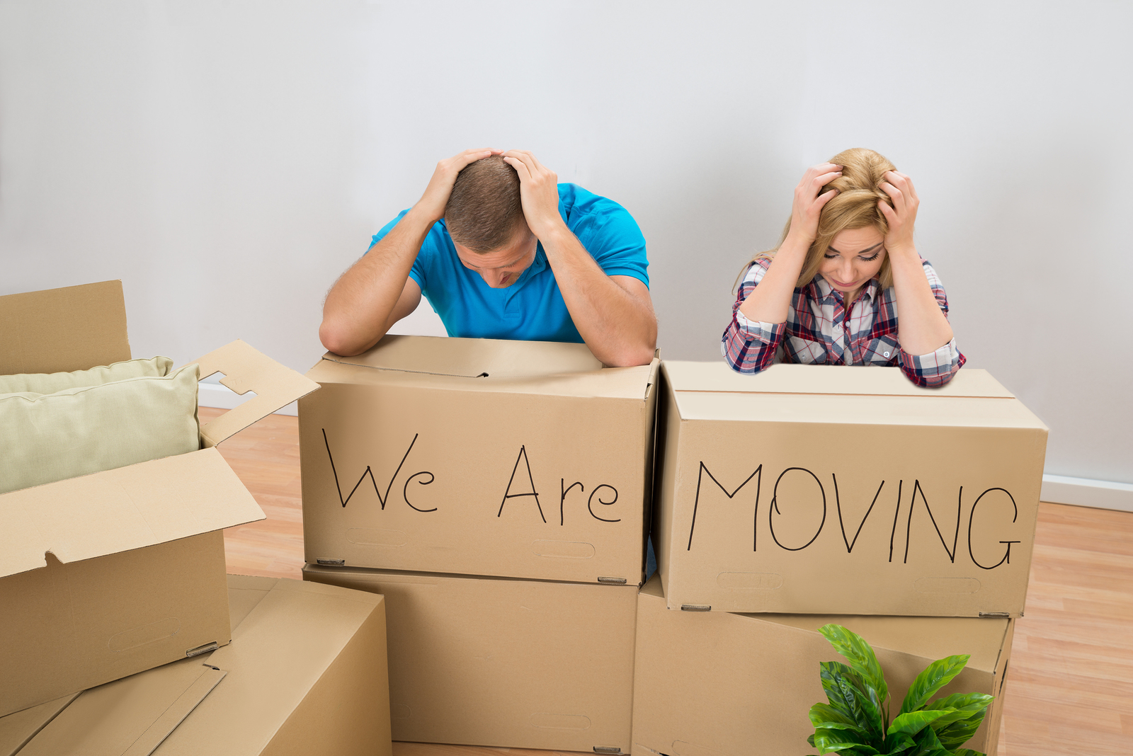 Low Cost House Removals in Mansfield