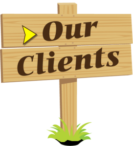 our domestic clients