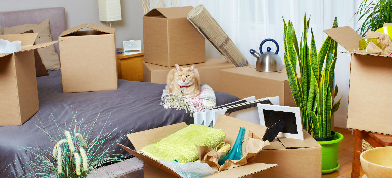 House Removals Company For Moving Home in Whetstone