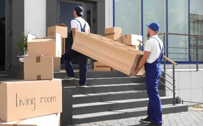 Moving Furniture Made Easy – Trusted Delivery Solutions with MNM Removals