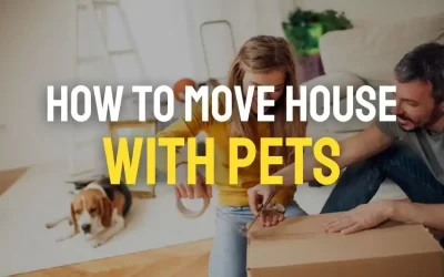 The Ultimate Guide to Moving with Pets: Tips and Advice for a Smooth Relocations